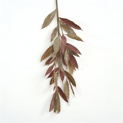 Small Natural Brown Myrtle Branch - Pack of 6