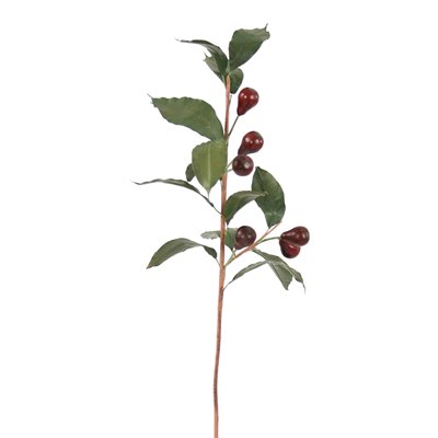Picture of Distinctive Designs DW-1534-RDBG DIY Foliage Red Burgundy Olive Branch - Pack of 6