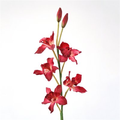 Picture of Distinctive Designs DS-8849-OC DIY Flower Orchid Cymbidium Orchid x 4 - Pack of 12