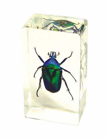 Picture of ED SPELDY EAST PW201 Paperweight  Medium  Green Chafer Beetle