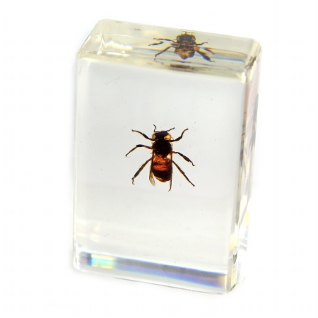 Picture of ED SPELDY EAST PW103 Paperweight  small  Honey bee