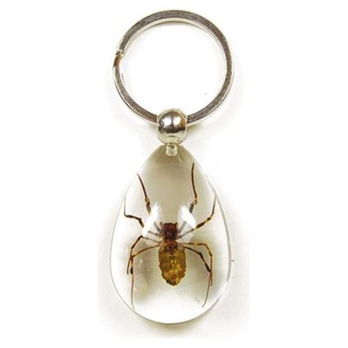 Key Chain  Tear Drop Shape  Clear  Spider