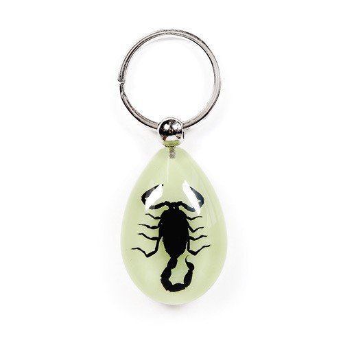 Key Chain  Tear Drop Shape  Glow in the Dark  Black Scorpion