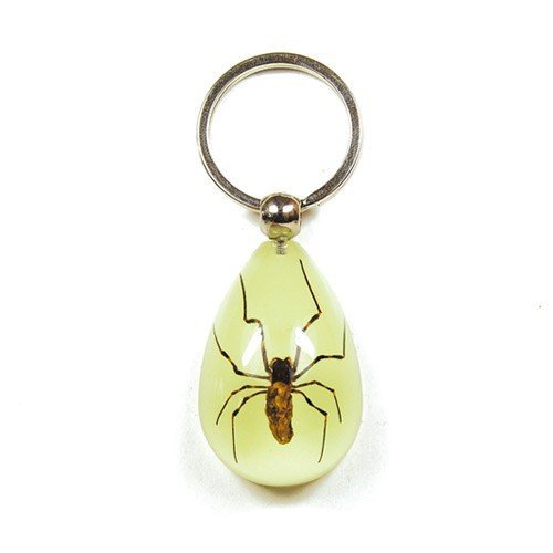 Key Chain  Tear Drop Shape  Glow in the Dark  Spider