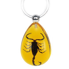 SK091 Key Chain Black Scorpion  Water Drop Shape  Amber