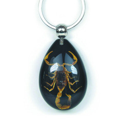 Key Chain Gold Scorpion Water Drop Shape Black