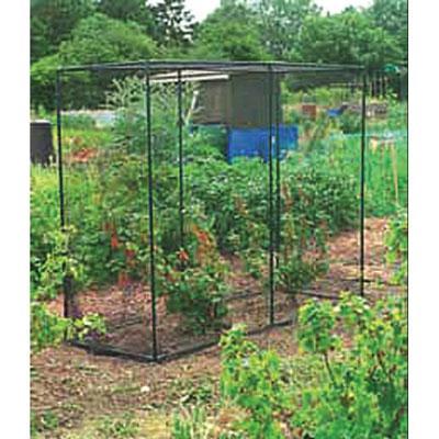 Fruit Cage Large