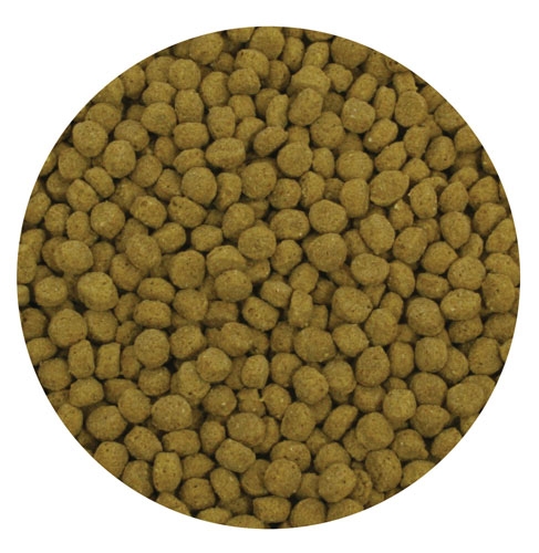 Picture of Aquascape 81005 Premium Color Enhancing Fish Food Pellets - 10 Kg
