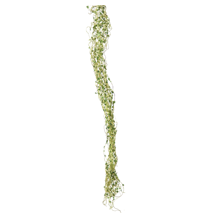 Picture of Distinctive Designs DG-516-CRGR DIY Foliage 20 in. L Artificial Green Draping Felixvine - Pack of 24