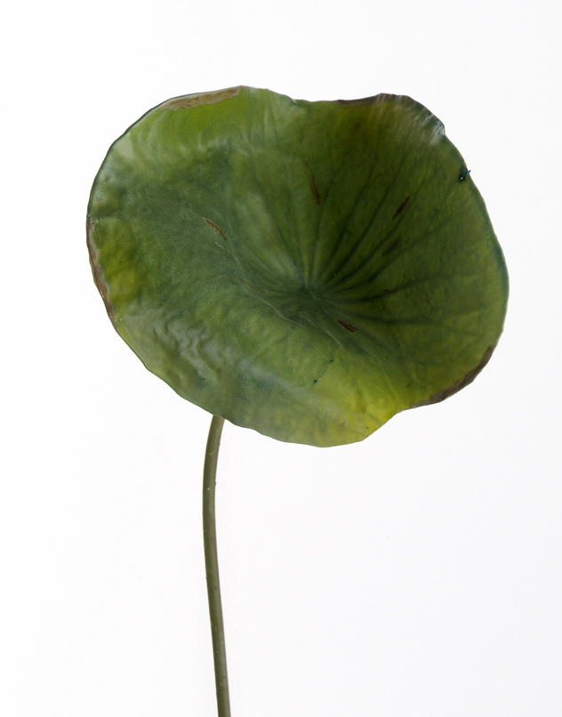 Picture of Distinctive Designs DG-659-GR DIY Foliage 27 in. L Artificial Medium Green Lotus Leaf 36 per Case - Pack of 6