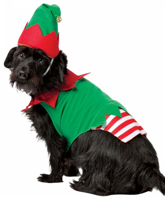 Picture of Costumes for all Occasions GC5028XS Pet Costume Elf Xs