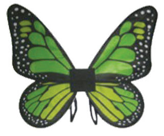Picture of Costumes for all Occasions FW90067GL Wings Butterfly Satin Ch Green