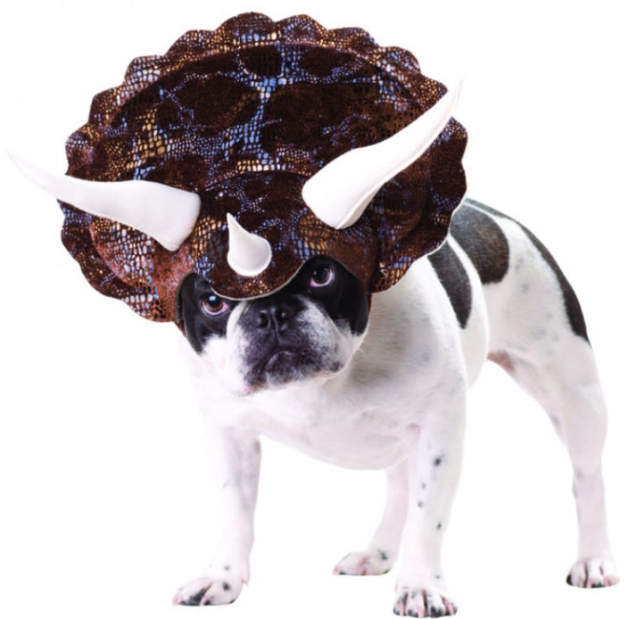 Costumes for all Occasions CC20104MD Pet Triceratop Animal Planet M