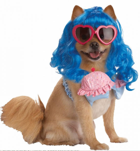 Costumes for all Occasions CC20112MD Pet Cupcake Girl Md