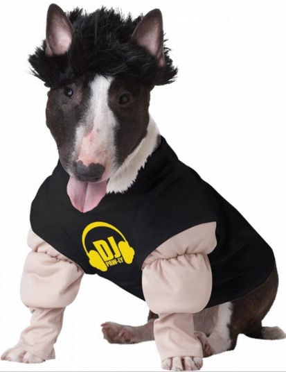Picture of Costumes for all Occasions CC20121XSM Pet Dj Master Xsmall