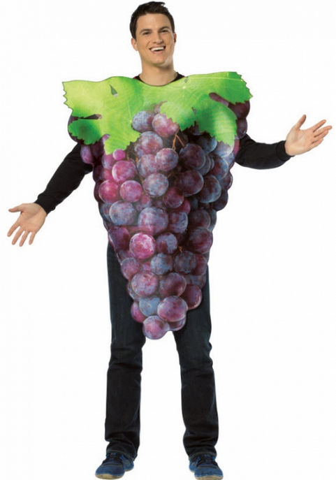 Picture of Costumes for all Occasions GC6832 Get Real Bunch Of Purple Grape