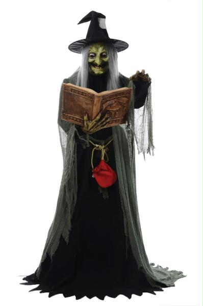Picture of Costumes for all Occasions MR124250 Spell-speaking Witch Animated