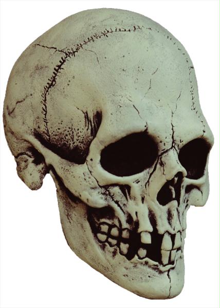 Picture of Costumes for all Occasions MA02 Nightowl Skull White Latx Mask