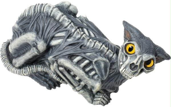 Picture of Costumes for all Occasions FM70781 Zombie Cat