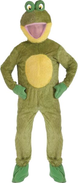 Picture of Costumes for all Occasions FM69592 Frog Mascot