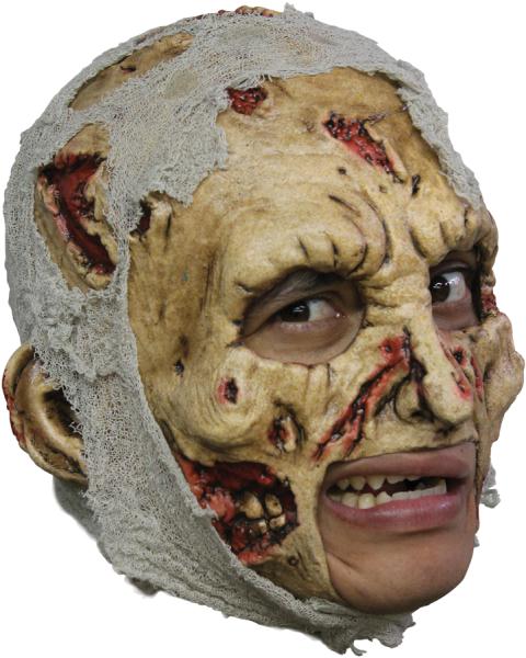 Picture of Costumes for all Occasions TB27533 Zombie Dlx Chinless Adult Mask