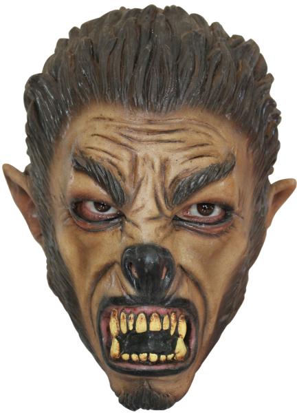 Picture of Costumes for all Occasions TB25405 Wolf Mask Child Latex Mask