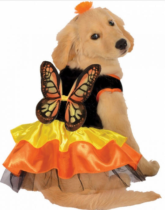 Picture of Costumes for all Occasions RU887834LG Pet Costume Butterfly Large