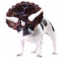 Costumes for all Occasions CC20104SM Pet Triceratops Animal Planet Costumes for all Occasions CC20104SM Pet Triceratops Animal Planet