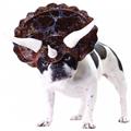 Costumes for all Occasions CC20104MD Pet Triceratop Animal Planet M Costumes for all Occasions CC20104MD Pet Triceratop Animal Planet M