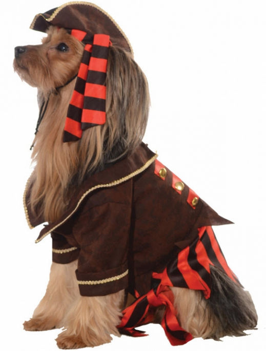 Costumes for all Occasions RU887811MD Pet Costume Pirate Boy Md