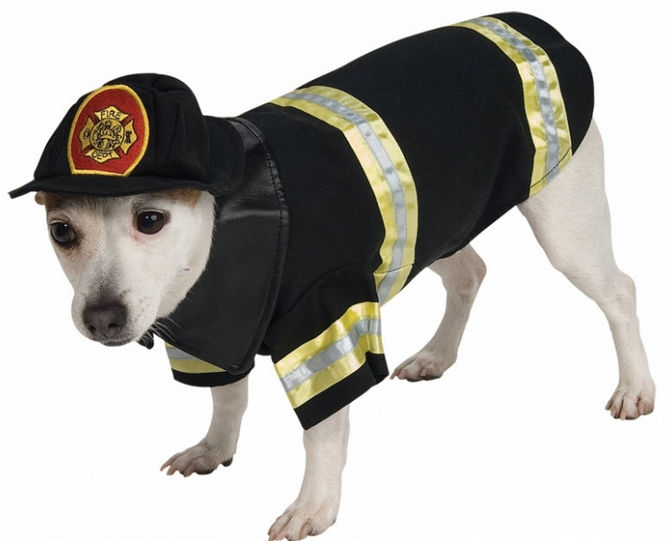 Picture of Costumes for all Occasions RU885935LG Pet Costume Firefighter Lg