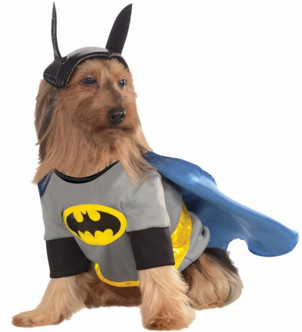 Picture of Costumes for all Occasions RU887835MD Pet Costume Batman Medium