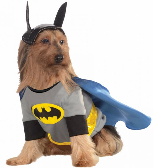 Costumes for all Occasions RU887835LG Pet Costume Batman Large