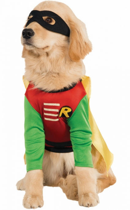 Picture of Costumes for all Occasions RU887836SM Pet Costume Robin Small