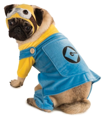 Picture of Costumes for all Occasions RU887800MD Pet Costume Minion Medium