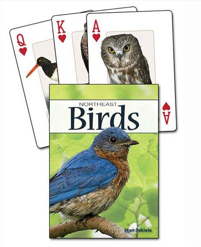 Picture of Adventure Publications Inc. AP33854 Birds of the Northeast Playing Cards