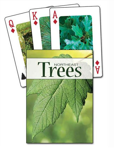 Picture of Adventure Publications Inc. AP33915 Trees of the Northeast Playing Cards