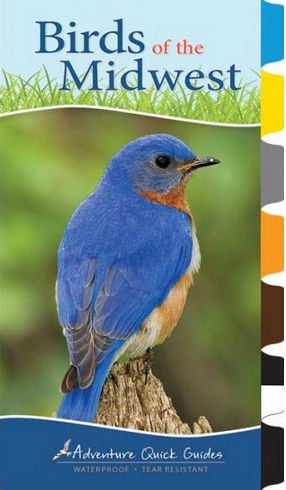 Picture of Adventure Publications Inc. AP34066 Birds of the Midwest - Adventure Quick Guide