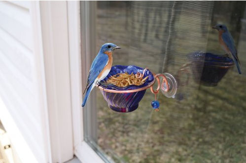 Picture of Songbird Essentials SEHHBBWF Copper Bluebird Mealworm Window Feeder