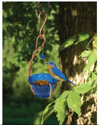 Picture of Songbird Essentials SEHHBBMW Copper Bluebird Mealworm Feeder