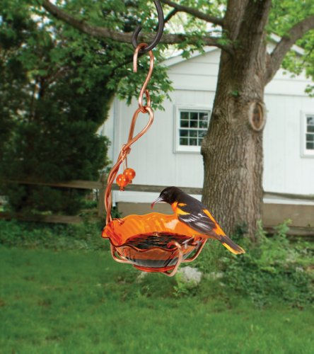 Picture of Songbird Essentials SEHHORSC Copper Oriole Jelly Feeder Single Cup