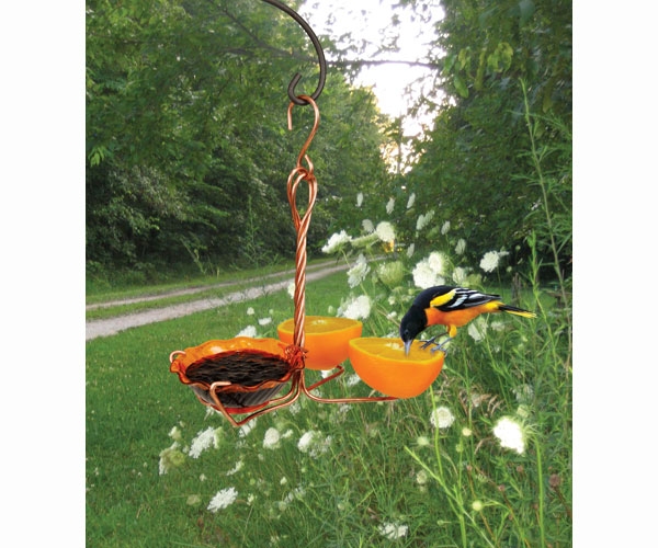 Picture of Songbird Essentials SEHHORFJ Copper Oriole Fruit and Jelly Feeder Single Cup