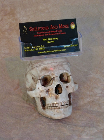 Skull Business Card Holder