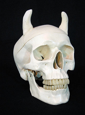 Devil Skull with 2 in. horn