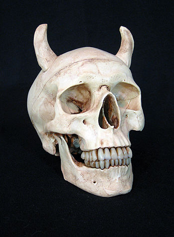 Aged Devil Skull with 2 in. horn