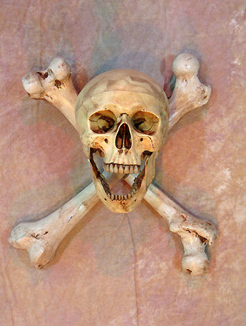 SKELETONS AND MORE