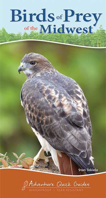 Picture of Adventure Publications Inc. Birds of Prey Midwest - Adventure Quick Guide