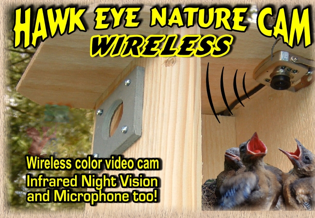Picture of Birdhouse Spy Cam Hawk-Eye Wireless Spy Camera