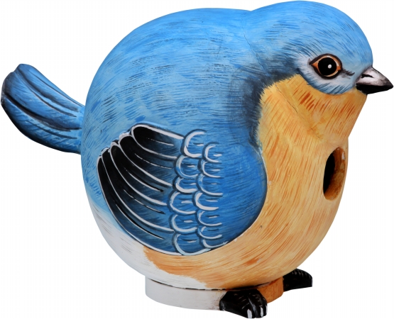 Picture of Songbird Essentials Bluebird Gord-O Birdhouse
