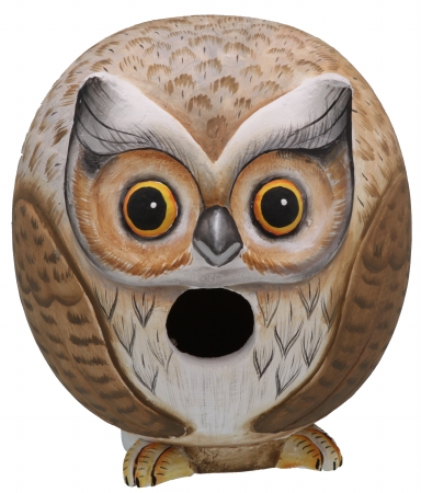Picture of Songbird Essentials Owl Gord-O Birdhouse